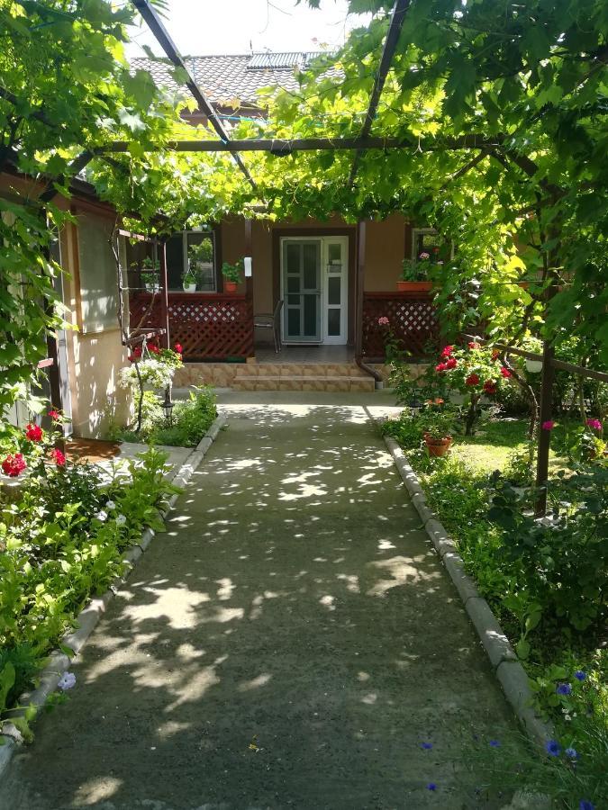 Casa Badea Hotel Murighiol Exterior photo