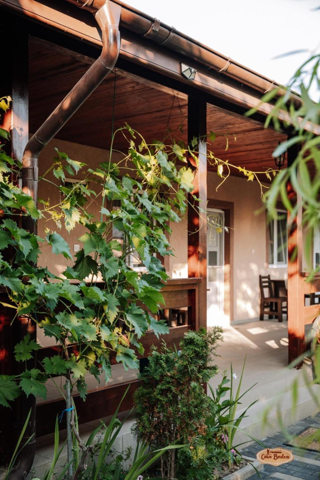 Casa Badea Hotel Murighiol Exterior photo